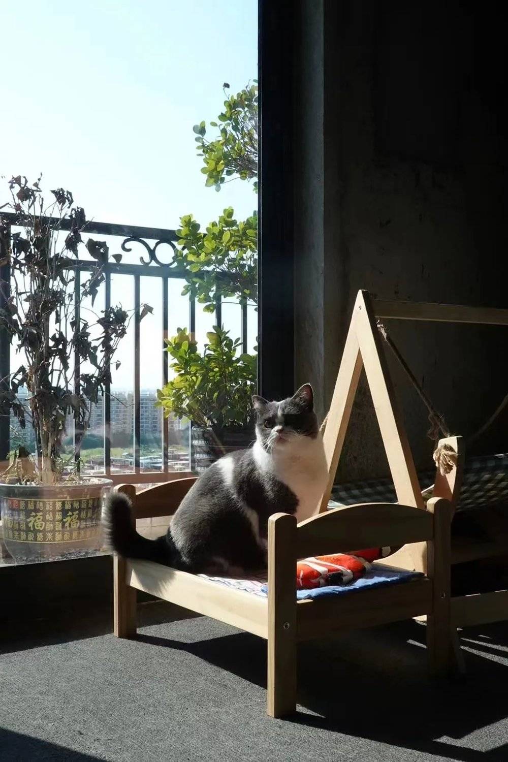 我為什么住進(jìn)毛坯房？