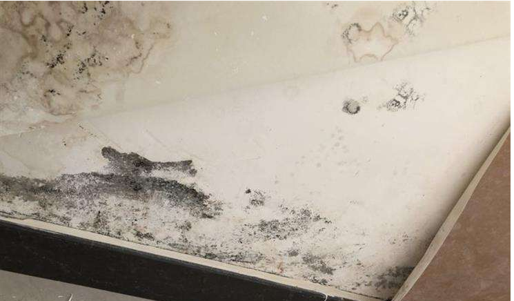 搞定梅雨天墻面受潮發(fā)霉，就選美涂士凈味抗甲醛微晶石藝術(shù)漆