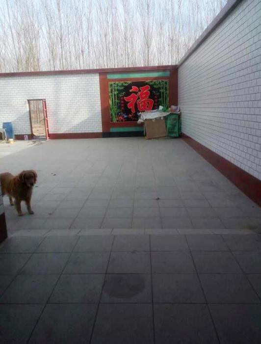 曬曬我的農(nóng)村婚房，占地面積600平，廚房超級(jí)大，臥室誰(shuí)見(jiàn)過(guò)？